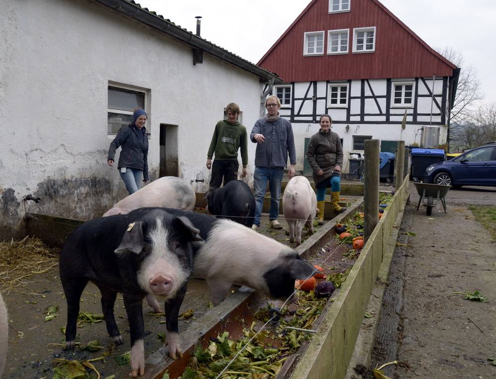  Gemüse, Milchprodukte, Eier und Kartoffeln, Fleisch- und Wurstwaren direkt vom Hof bieten diese Windrather Landwirte. 