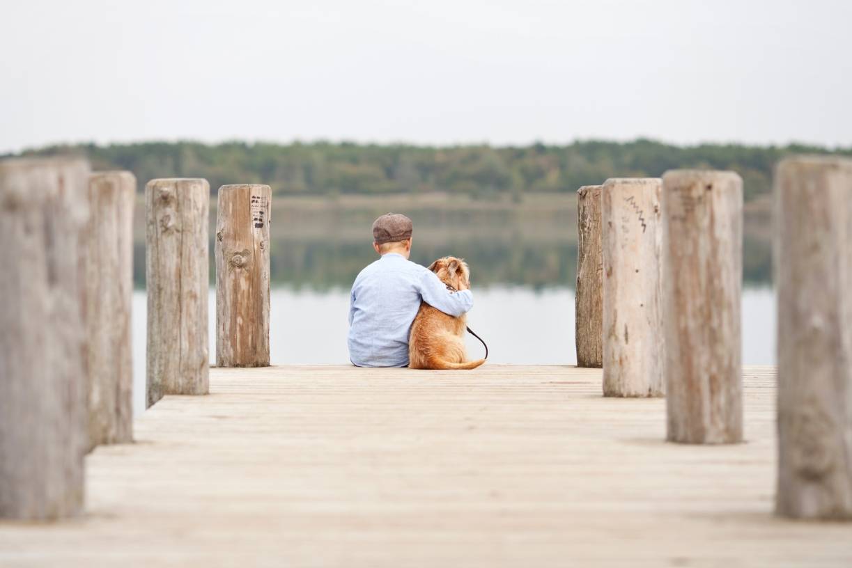 Liebe auf vier Pfoten — wie Hunde das Leben bereichern