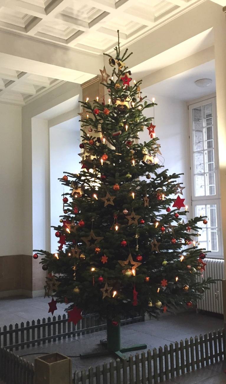  Wer nicht bis zur Abfuhr der Bäume warten möchte, kann seinen Weihnachtsbaum an allen AWG-Recyclinghöfen kostenlos abgeben. 