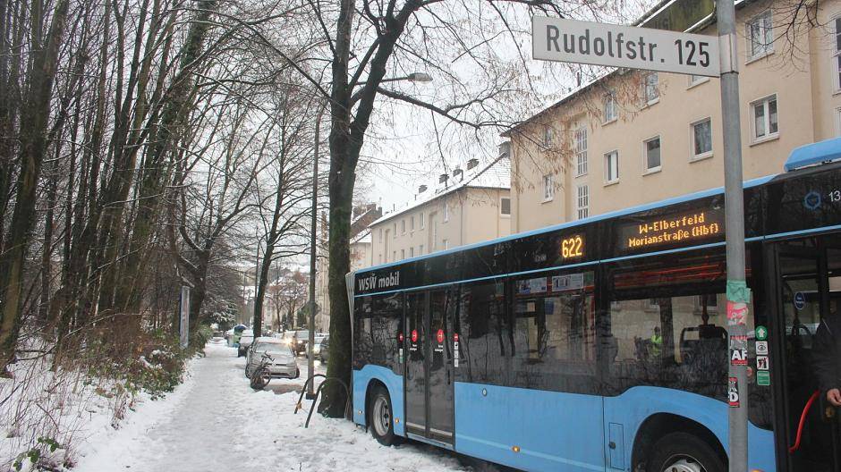 In den Baum gerutscht