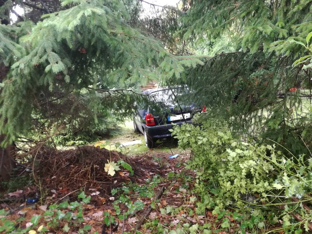  Ende einer Unfallfahrt. 