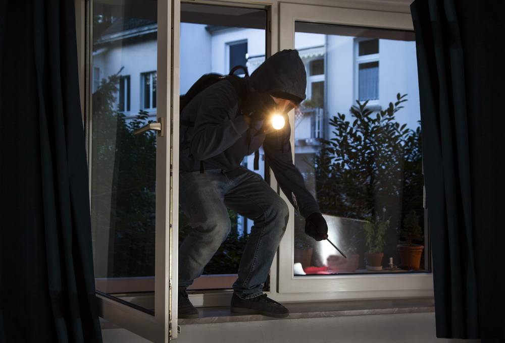 Geld und Hundegeschirr gestohlen