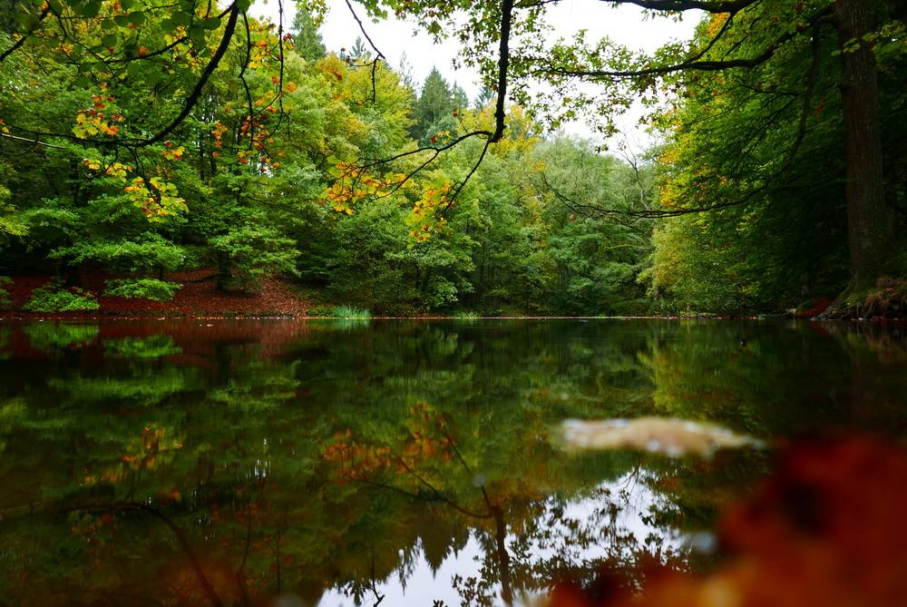 Wuppertaler Holzvorrat auf Rekordhoch