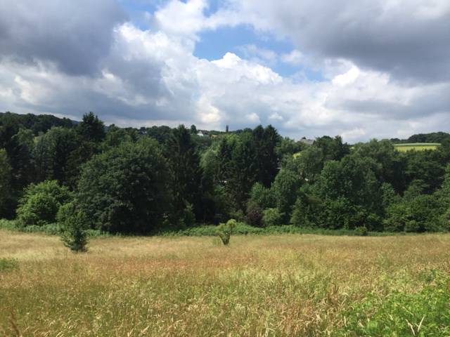  Die Nächstebrecker setzen sich für den Erhalt der Natur ein. 