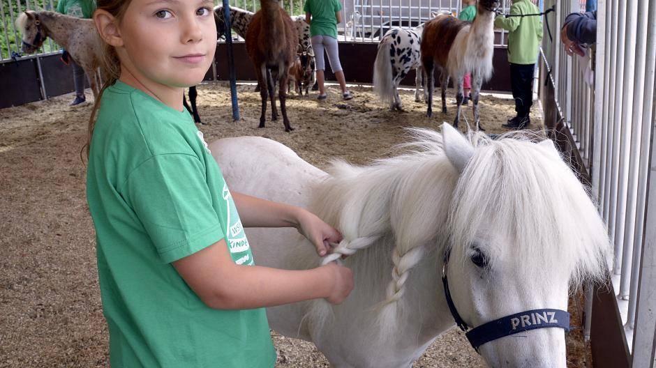 Manege frei für die Kinder vom Carnaper Platz!