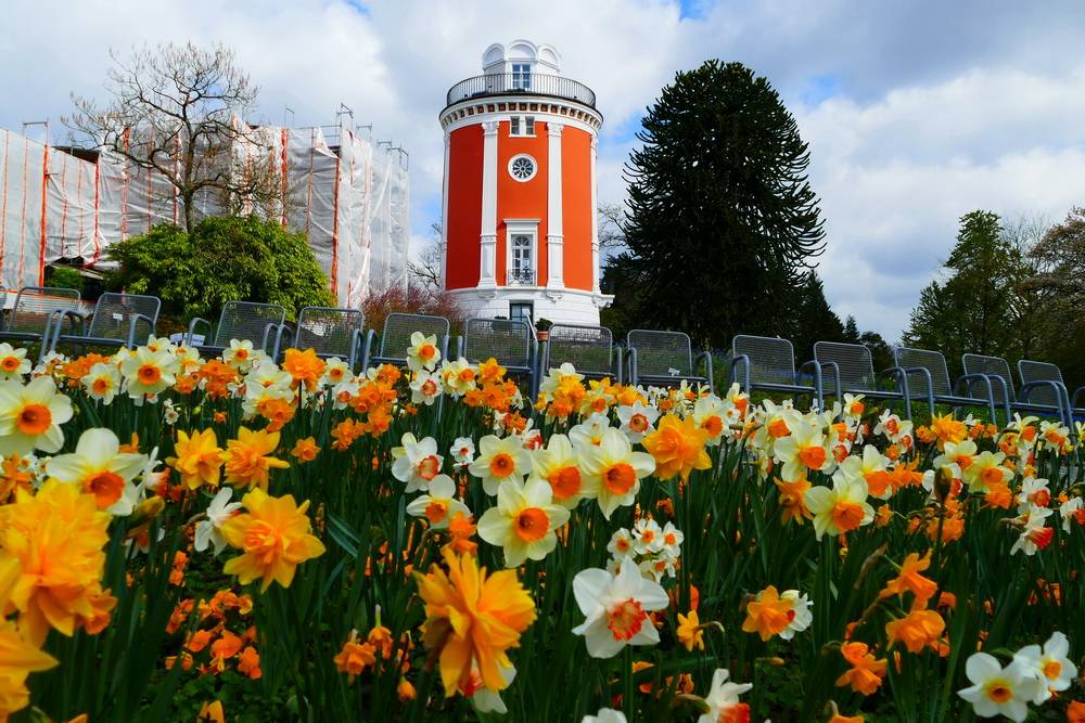 Freizeit: Lindy Hop, Tai Chi und Yoga im Botanischen Garten