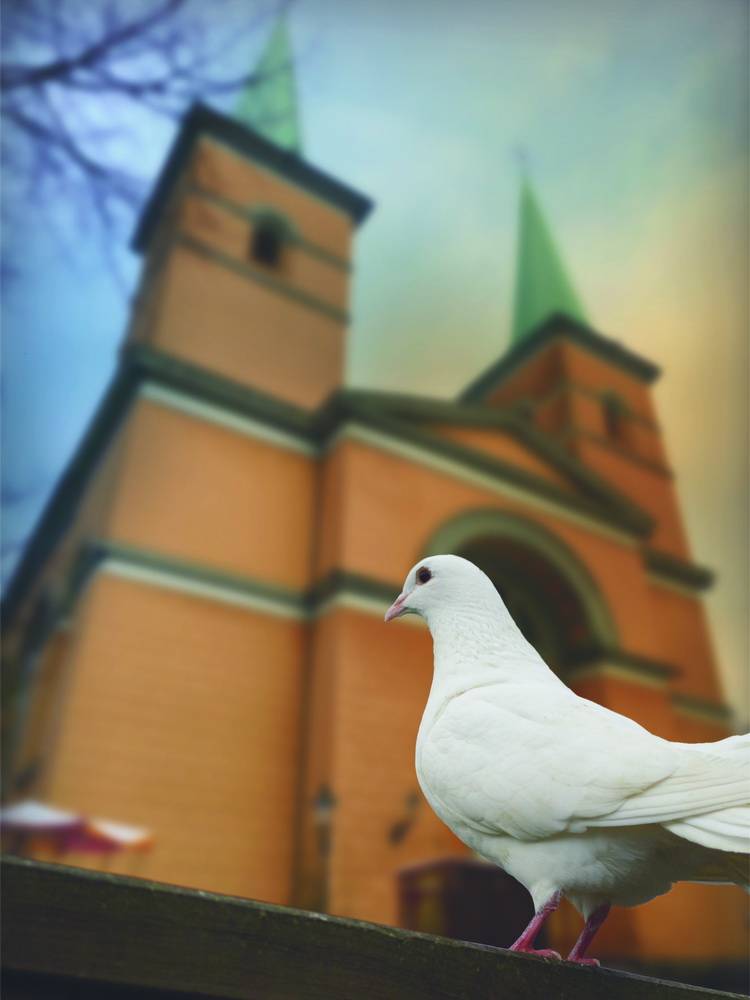 Symbol des Friedens vor der Basilika St. Laurentius. 