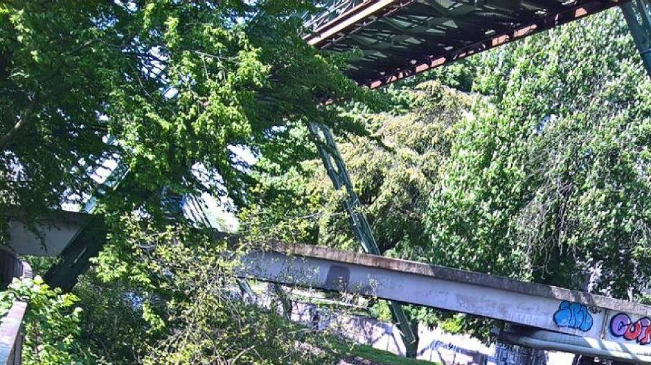 Wupperufer wird gesäubert