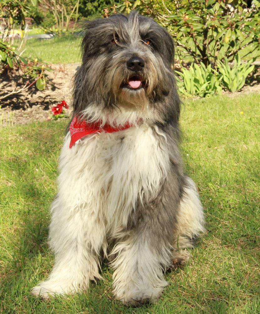 Am Sonntag geht's auf große Tour