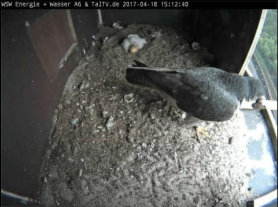  Schöne Wohnung mit gutem Ausblick. 