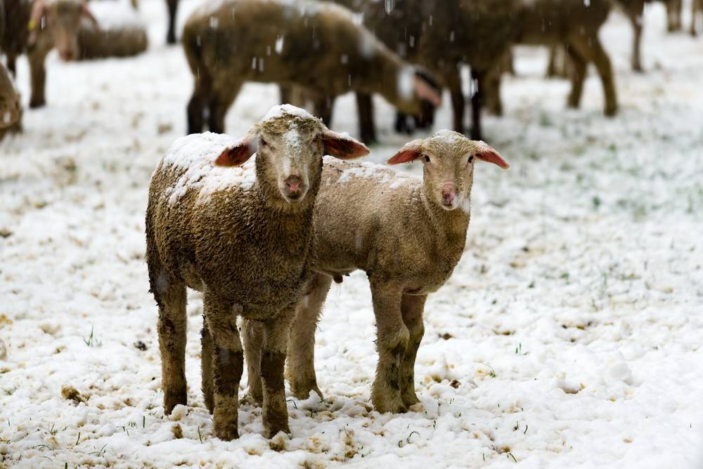 Sie sahen kurzzeitig etwas belämmert aus...