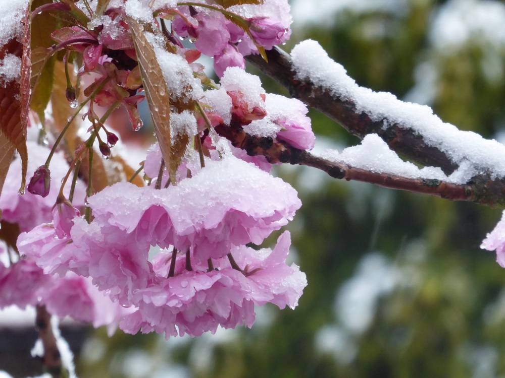 Kleiner Winter-Intermezzo am...