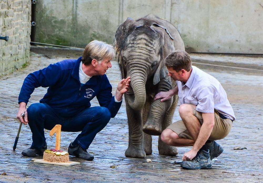  Herzlichen Glückwunsch: Tuffi ließ es sich kurz danach schmecken. 