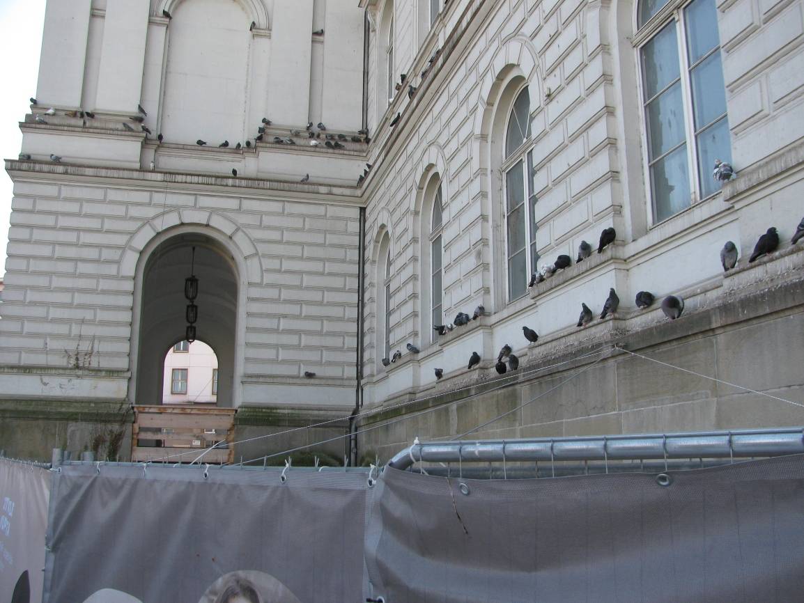Sogar die Tauben verlassen den Bahnhof