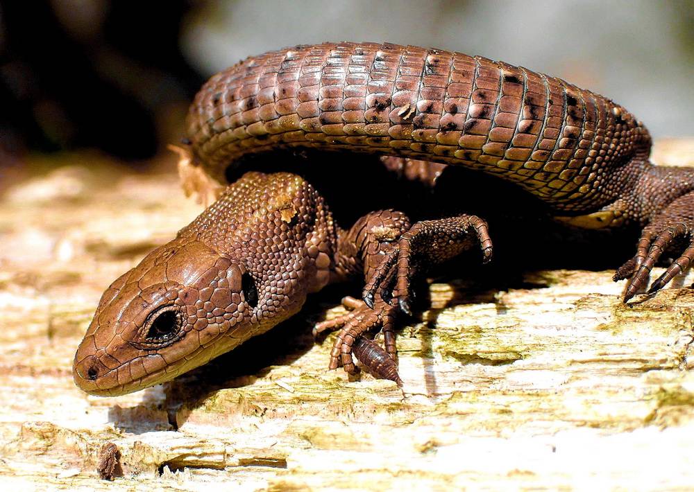 Wochenend und Sonnenschein