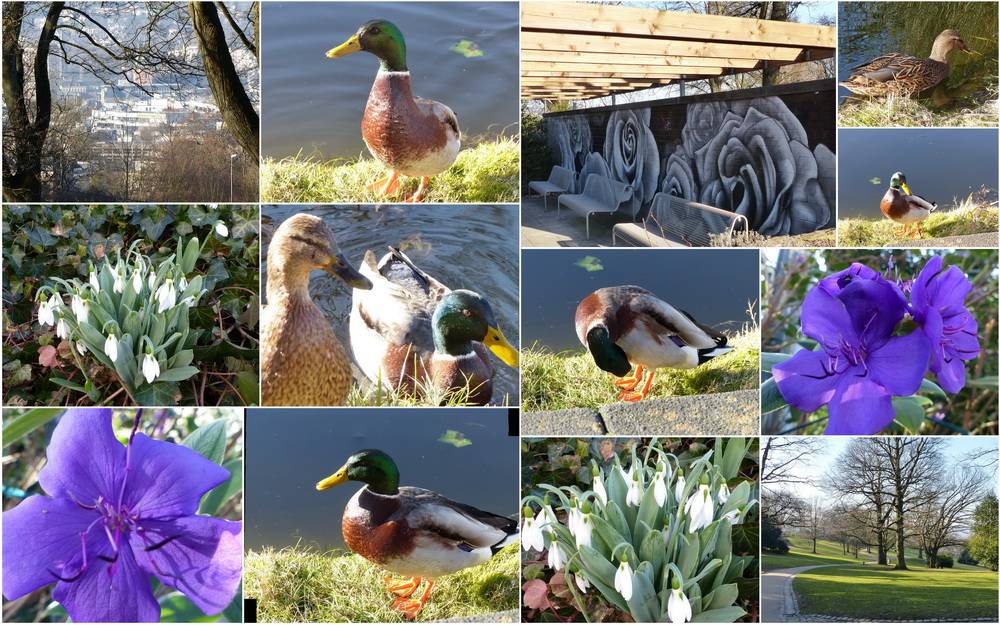 Auf der Hardt unterwegs...