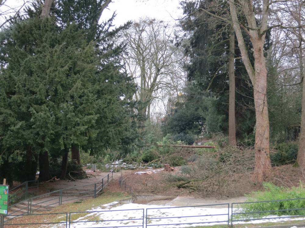  Hier entsteht "Aralandia". 