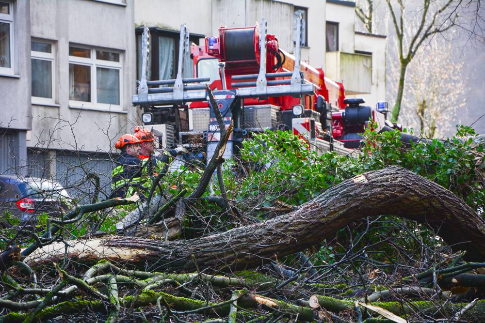  Die Feuerwehr muss den Baum erst zersägen bevor sie ihn von der Straße räumen kann. 