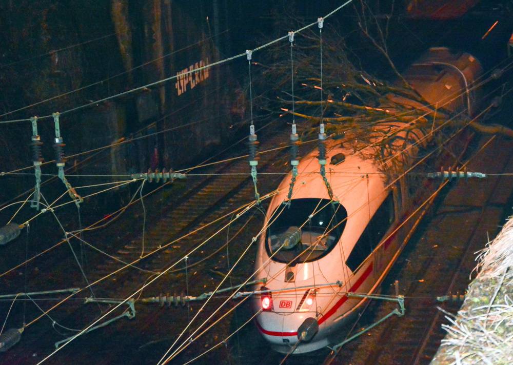  Dieser Baum verlor die Haltung. 