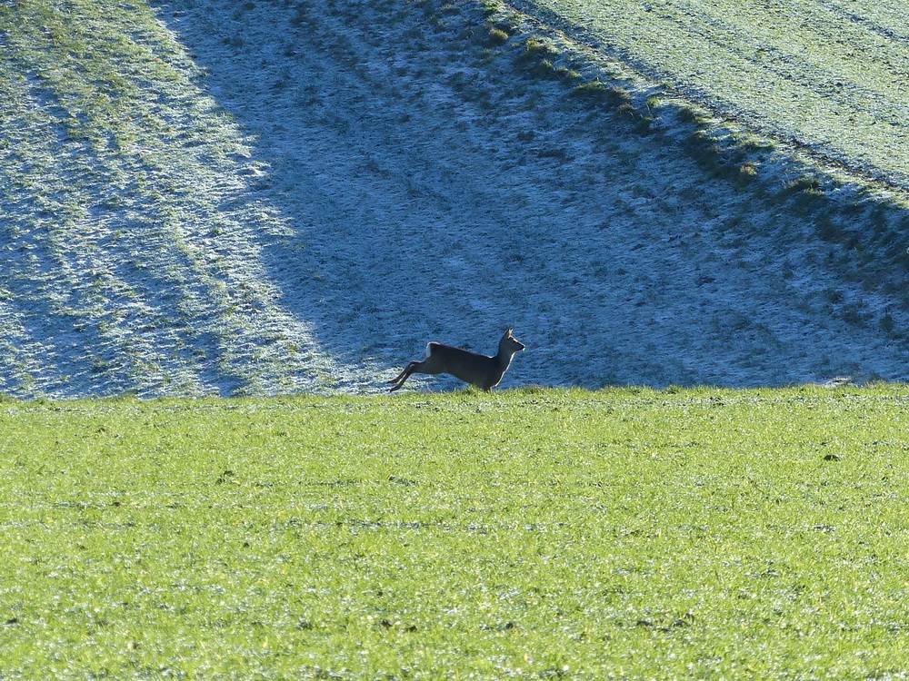  Allein auf weiter Flur. 