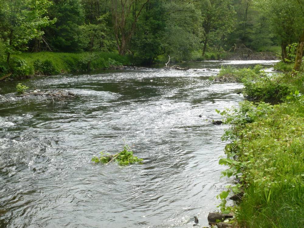 Vorbereitung für Flussprojekt startet