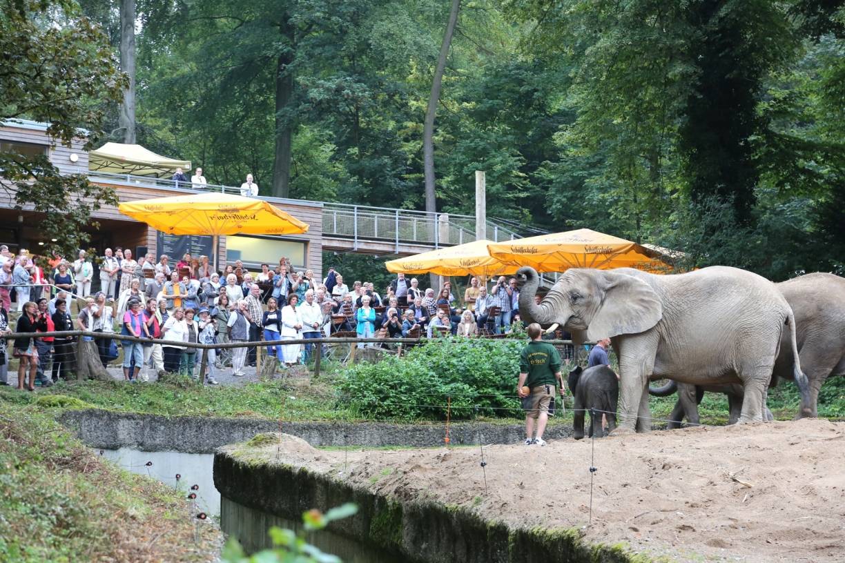 Zoo feiert Sommerempfang