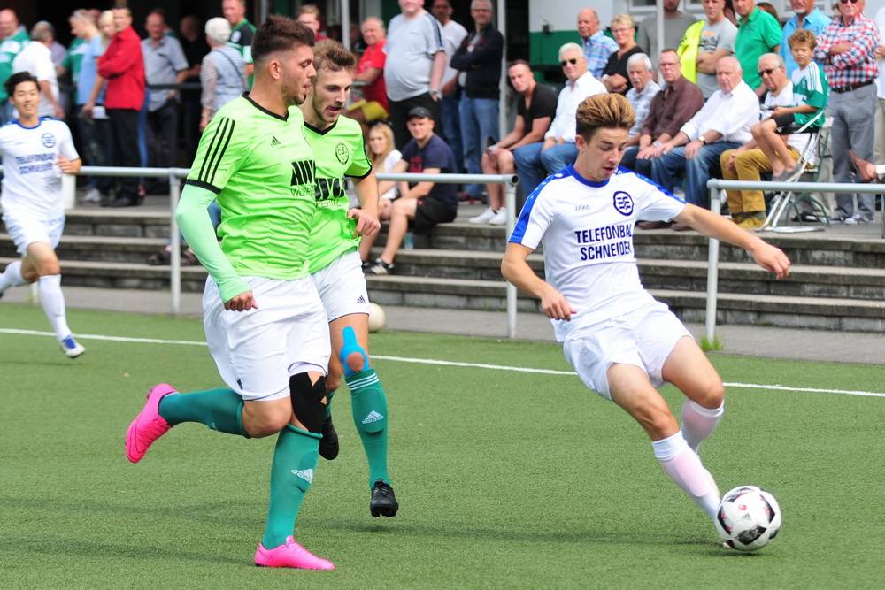 Sport-Ergebnisse vom 12. bis 13. November 2016