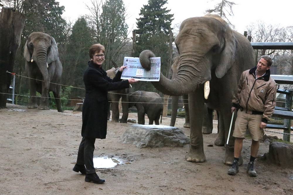 Ein tierischer Scheck