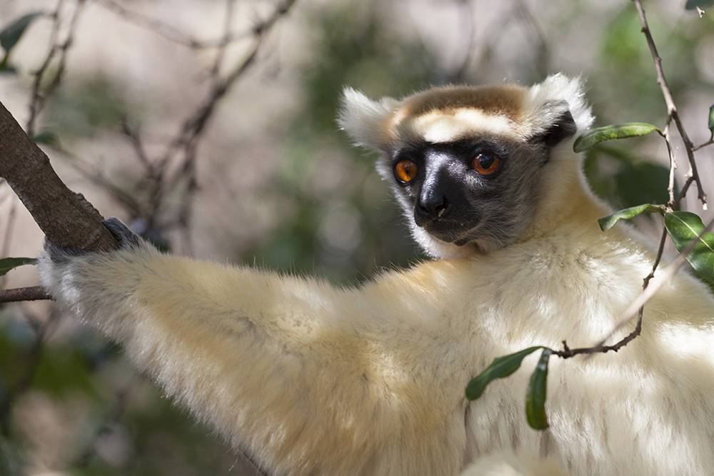 Einzigartige Naturreservate