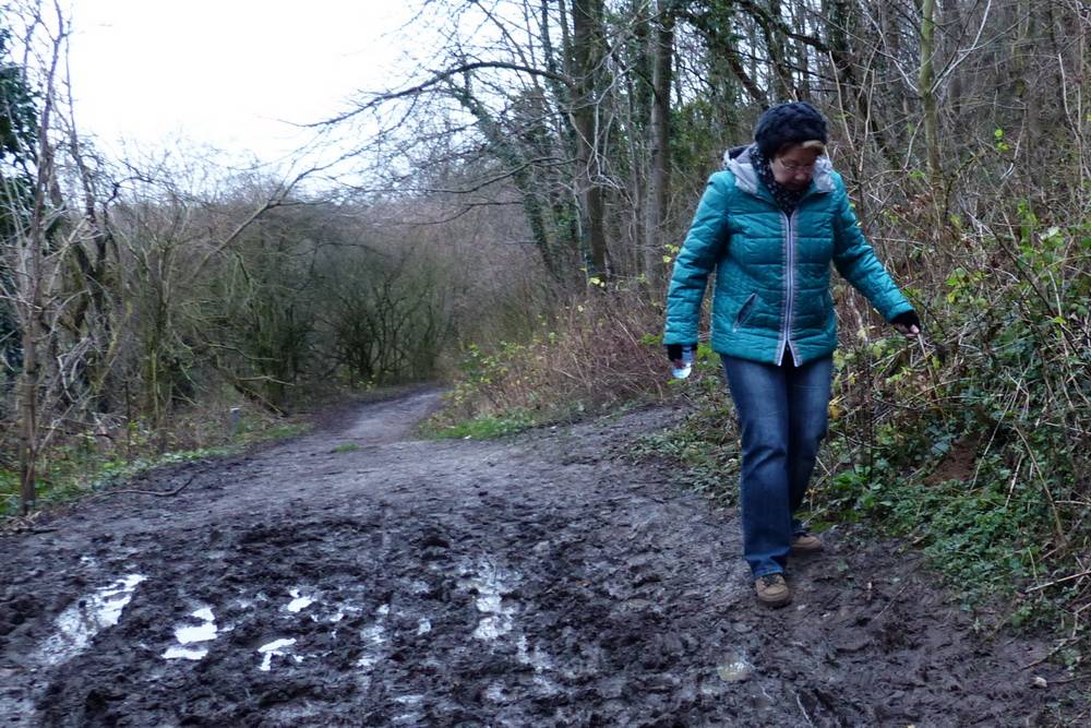 Ein typischer November