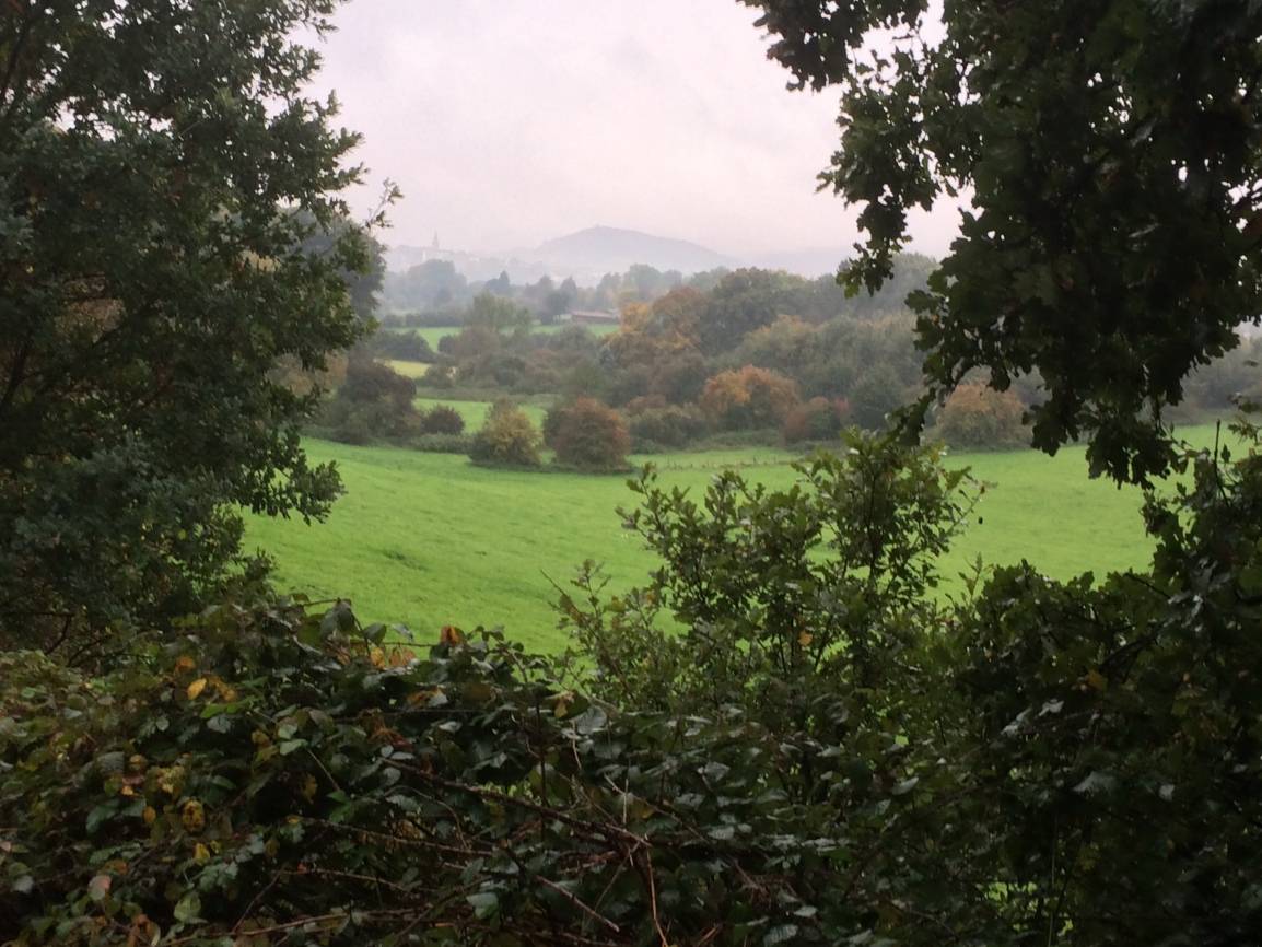 Naturlandschaft in Gefahr?