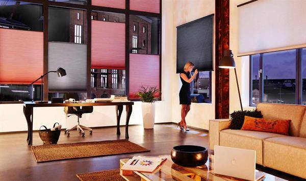 Insektenschutz Franke