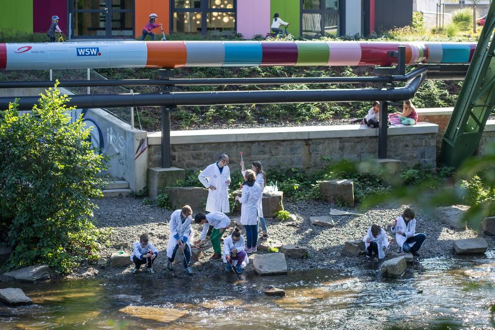 45 Kurse mit 547 Plätzen