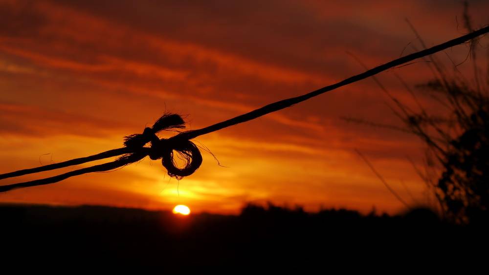 Leser-Fotos: Leuchten und Eiskristalle