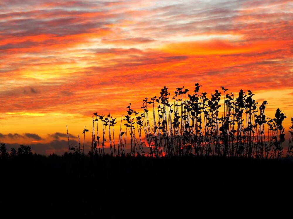 Leser-Foto: Der Himmel über Langerfeld