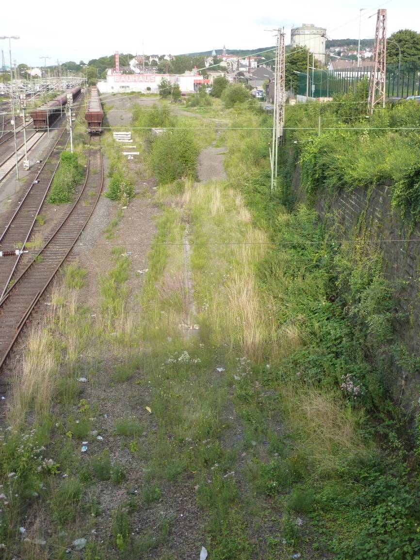 Discounter — oder nicht?