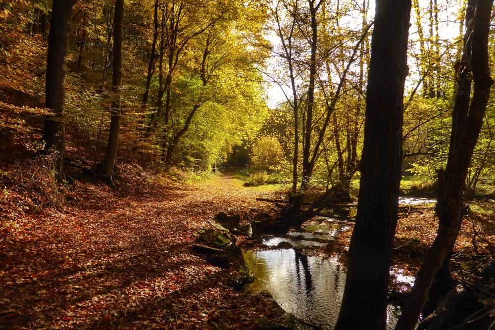  Das ist das Bergische Land pur! 
