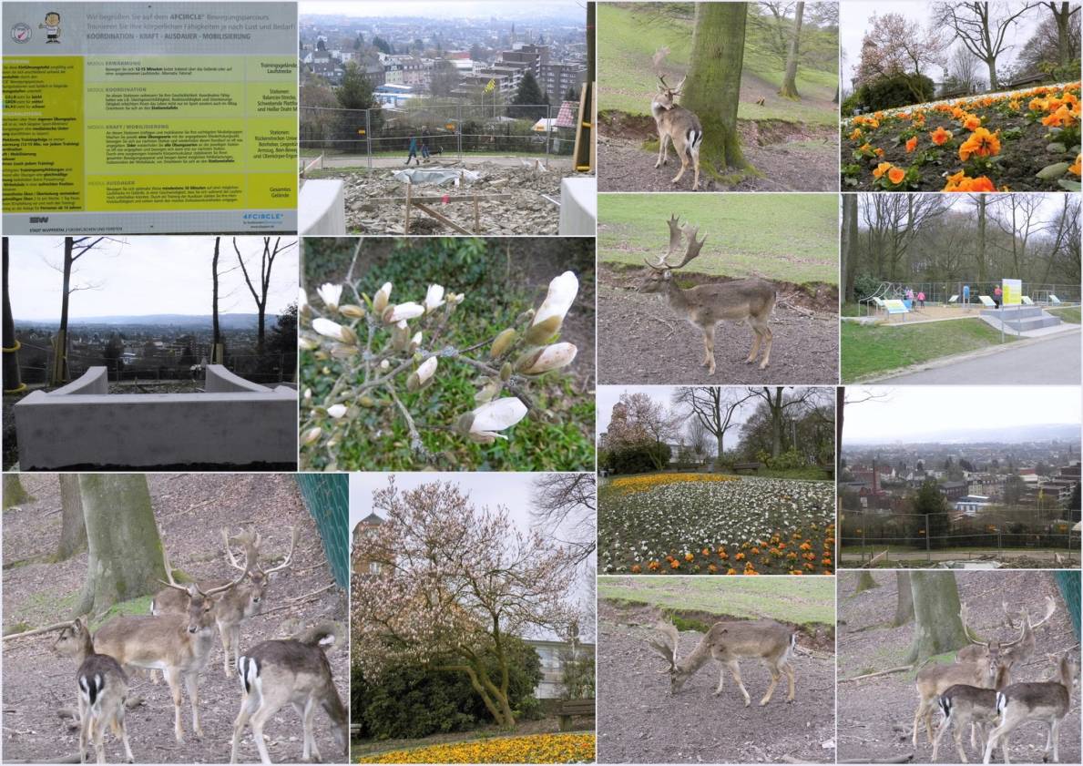 Leser-Foto: Skywalk nimmt Formen an