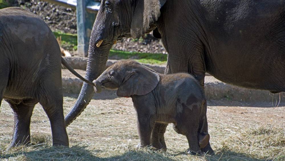 Leser-Foto: Ein Besuch im Zoo