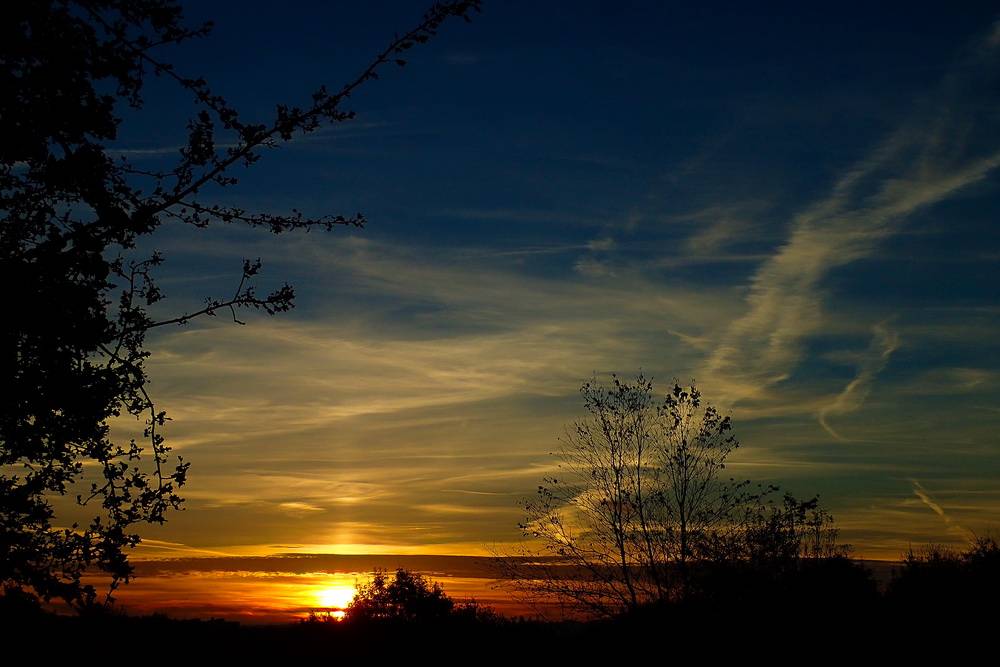 Leser-Foto: Tolle Farbenspiele