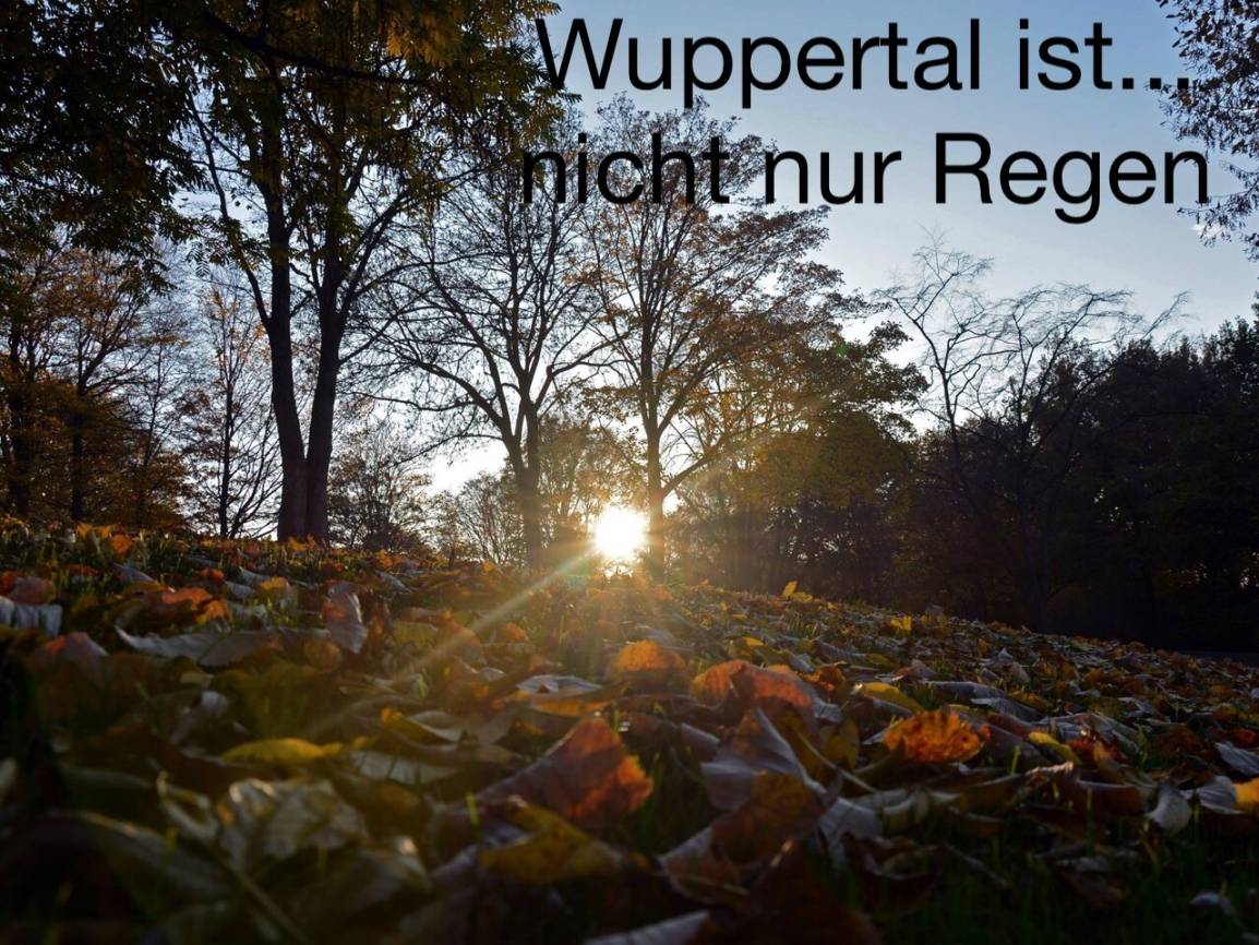 Wuppertal ist....