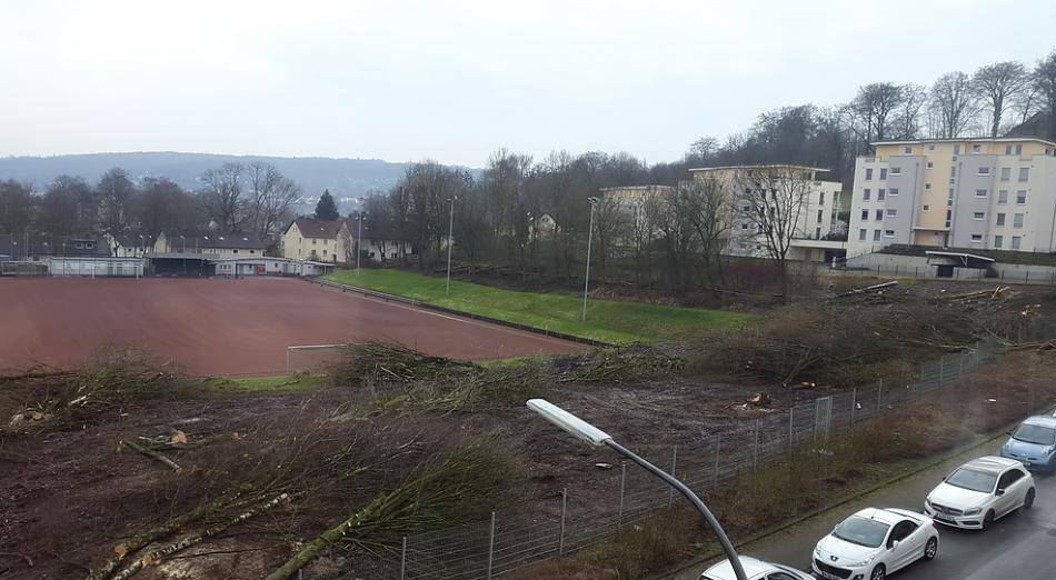  Anwohner kritisierten die Baumfällungen am Sportplatz Rudolfstraße. 