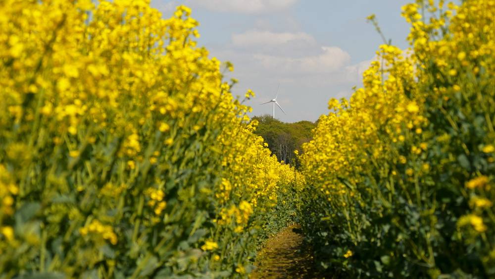 Leser-Foto: Das Gefühl von Sommer