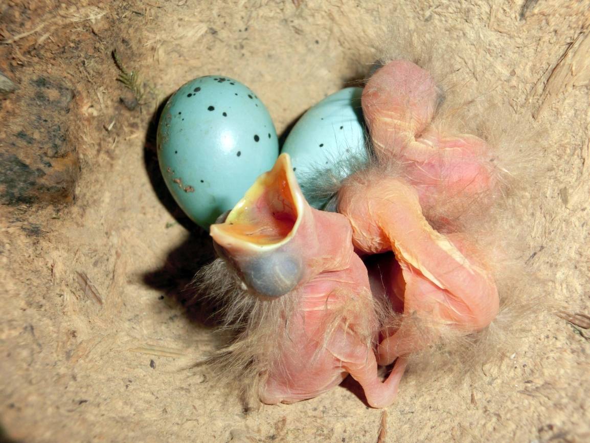  Da hat jemand Hunger ... 