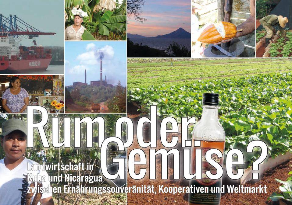  Lieber Rum oder doch Gemüse?