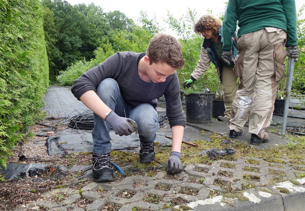  Max (Klasse 8) half bei "Amoflor". 