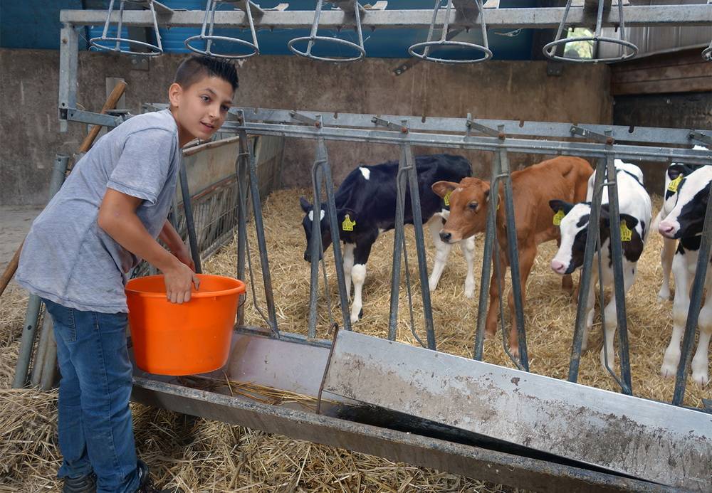 Fünftklässler Tyron auf dem Roderhof in Leichlingen. 