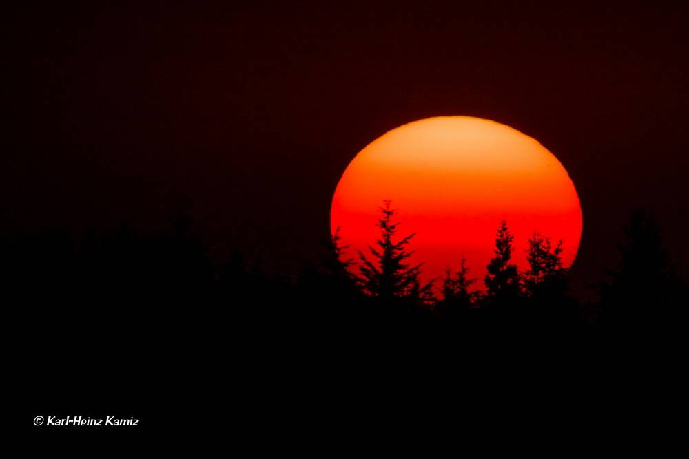  Schöner geht es nicht ... 