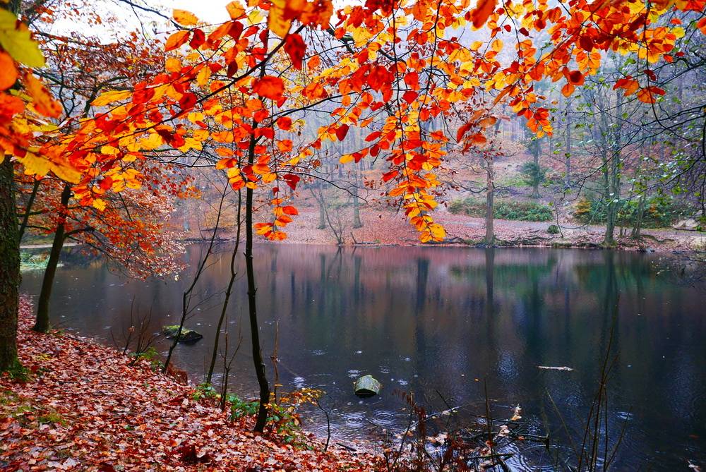 Oktober war halbwegs golden