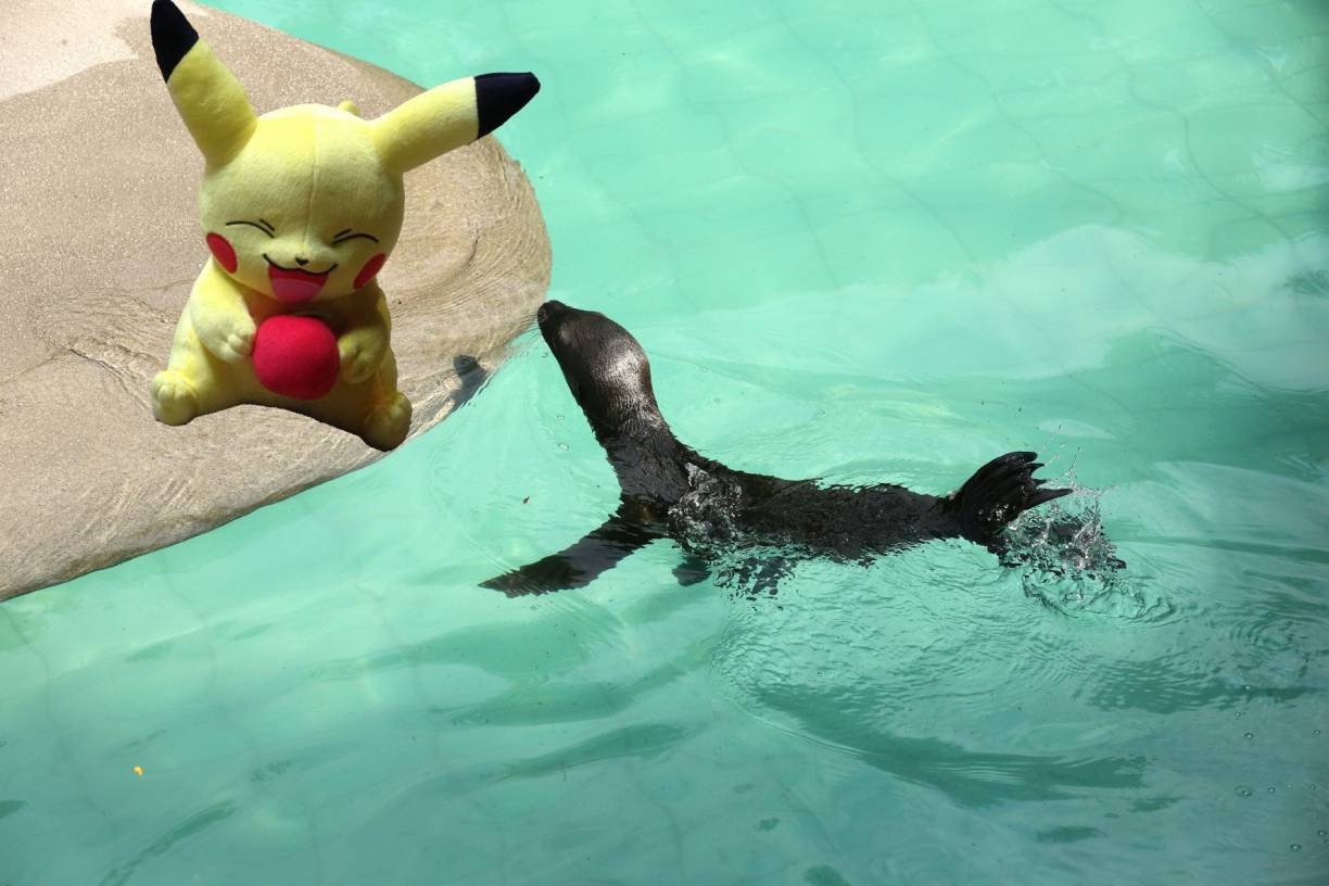  14 Pokestopps verteilten sich im Zoo.  